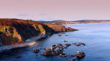 Drone footage along the rocky coast of the seascape covered with grass. View on the beautiful nature at the time of sunset.