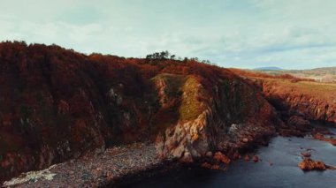 Vegetation with orange foliage covering the rocks at the sea shore. Drone footage distancing from the coastline.
