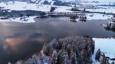 Gri bulutları yansıtan huzurlu, pürüzsüz göl yüzeyine yaklaşıyoruz. Çam ağaçları su yatağının çevresinde yetişir. Kış mevsimi doğası. Hava görünümü.