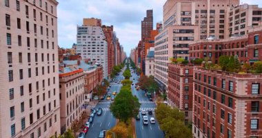 New York, ABD, 8 Ekim 2025: Binaların çatılarında ve cadde boyunca güzel ağaçlar yetişiyor. New York 'un caddesinde yoğun trafik var. İnsansız hava aracı görüntüleri.