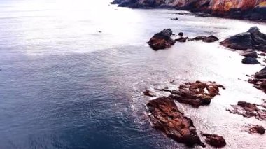 Su yüzeyinden sarkan kayaların üzerinde uçuyorlar. Kıyıya yakın denizde taşların etrafında daireler çiziyor..