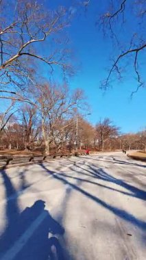 İlk kişiden bisiklete binme. Güneşli bir sonbahar gününde dışarıda güzel vakit geçirmek. Dikey video.