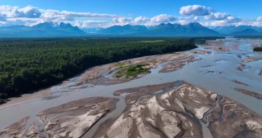 Yoğun Alaska Ormanı ile örülmüş Delta Nehri Kontrastı. Etkileyici bir hava perspektifi, koyu yeşil ile çelişen geniş, alüvyonlu bir buzul nehri deltasını yakalar.