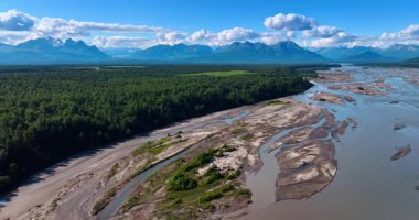 Buzul Nehri 'nin Havadan Görünümü Yoğun Boreal Ormanı Sınırı' yla Buluştu. Bu yüksek açı perspektifi, bir buzul nehrinin geniş, alüvyonlu suyu ile yoğun su arasındaki dramatik zıtlığı gösteriyor.