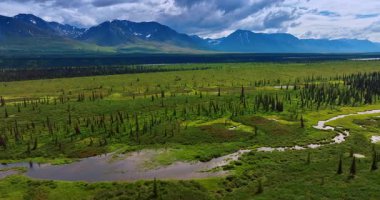 Alaska Taiga Ormanı, Winding Creek ve Karlı Dağlar. Bu manzarada canlı yeşil subarctic taiga ormanı bir dereyle iç içe geçmiştir.