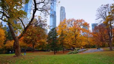 New York, ABD, 22 Ekim 2025: İnsanlar güzel renkli sonbahar parkının yanından geçiyor. Central Park, New York, ABD 'den Manhattan' ın gökdelenlerinin alçak açılı görüntüsü.
