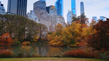 New York, ABD, 22 Ekim 2025: Göletin etrafındaki ağaçların yaprakları renkli kırmızı, sarı, turuncu. Sonbaharda Central Park 'ta parlak doğa. Manhattan yüksek binaları arka planda.