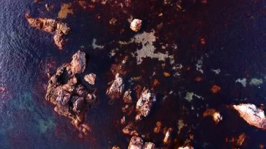 Çıplak ve tehlikeli kayalar su yüzeyinden dışarı sarkıyor. Koyu deniz yosunları deniz manzarasının altını kaplar. Üst görünüm.