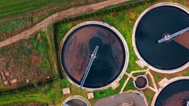 Lağım suyuyla dolu su depolarının etrafında daireler çizip yükseliyor. Atık suyu geri dönüştürmek için bitki.