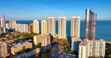 Miami, Florida, ABD 'nin güneşli şehir manzarası. Suyun üzerinde yüksek binaların etrafında çok sayıda kuş uçar..