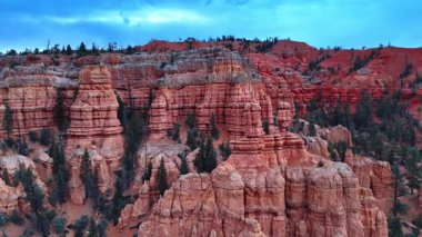 Uçsuz bucaksız yamaçlı kırmızı kanyonlar. Evergreen çam ağaçları kayalık arazide yetişir. Utah, ABD.