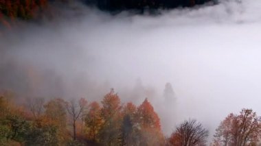 Renkli ağaçlarla kaplı güzel beyaz bulutlu kayalar arasında yayılıyor. Arabalar dağlardaki dalgalı yolun yanından geçerler. Georgia mı? Hava görünümü.