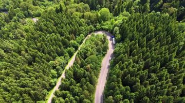 Araçlar yoğun yeşil ağaçlarla çevrili dolambaçlı bir yol boyunca park halindedir. Orman bölgeyi kaplıyor ve güneşli bir gün. Bu konum doğa manzarası sunar.
