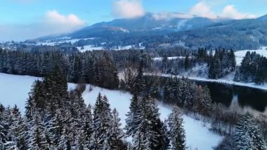 Kar zemini ve kırsal bir bölgedeki ağaçları kaplıyor ve içinden bir nehir akıyor. Arkaplanda, berrak bir gökyüzünün altında dağlar yükselir. Kış geldi..
