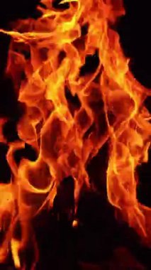 Tahta çubuklar kamp ateşinde yanar. Geceleri yanan şenlik ateşinin rahatlatıcı güzel manzarası. Dikey video