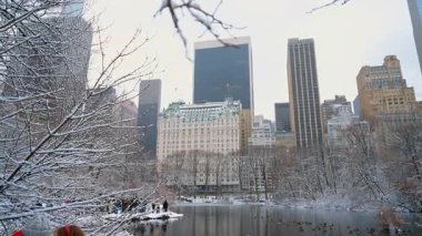 New York, ABD, 19 Aralık 2025, kışın Central Park 'ta bir ördek sürüsüyle gölet. Bir sürü insan vahşi kuşları görmeye geldi. New York, ABD.