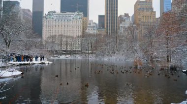 New York, ABD, 19 Aralık 2025: New Yorklular ve ziyaretçiler New York, ABD 'deki Central Park' ta yaban ördeklerini görmeye geldiler. Büyük Elma 'da kış manzarası.