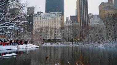 New York, ABD, 19 Aralık 2025: Ördekler kışın New York, ABD 'deki Central Park' taki çözülmemiş gölette yüzerler. Bir grup insan rıhtımda durup kuşları izliyor..
