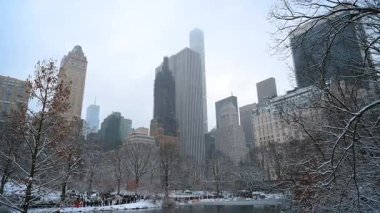 Kışın New York, New York 'ta Central Park' a kar yağıyor. Kalabalık gölde yüzen ördekleri izliyor..
