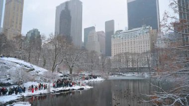 New York, ABD, 19 Aralık 2025: Kalabalık kışın donmayan göletin rıhtımında duruyor. Ziyaretçiler ördeğin suda yüzüşünü izliyor. New York, ABD 'de kar yağıyor..