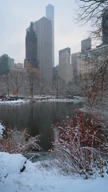 Kışın Central Park, New York, ABD 'de kar yağıyor. Gölün ve Manhattan ufuk çizgisinin manzarası. Dikey video.