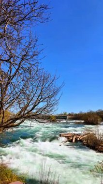 Güzel Niagara Şelalesi 'nin çalkantılı suyu. Çıplak ağaçlar rıhtımda yetişir. Dikey video.