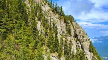 Güneşli bir günde kayalık dağlar ve ağaçların manzarası. Açık mavi gökyüzünün altında yeşil ağaçlarla kaplı uzun kayalık kayalıklar..