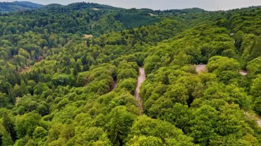 Orman manzarası, yazın bulutlu bir günde yeşil ağaçların arasında dolambaçlı bir yol olduğunu gösteriyor. Yukarıdan bakıldığında, bulutlu bir yaz gününde yemyeşil ormanın içinden geçen dolambaçlı bir yol görülüyor..