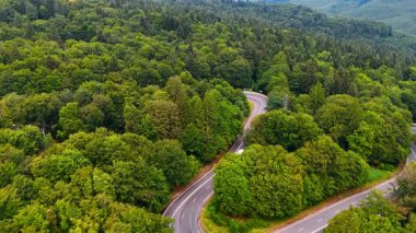 Dağlık bölgedeki yeşil orman manzarası boyunca kıvrımlı bir yol. Yoğun yeşil ağaçların arasından geçen dolambaçlı bir yol, tepelik bir bölgede gündüz vakti kesiliyor..