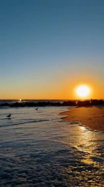 Gün batımında kumsalda dalgalar ve kuşlarla birlikte. Güneş batarken dalgalar kıyıya vurur, su ve kum üzerine turuncu ışık yayar. Kuşlar sahil boyunca yürür.