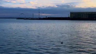 Akşamın erken saatlerinde gökyüzünde bir bina ve ördek olan bir su kütlesi görüntüsü. Bir ördek, akşam saatlerinde rıhtımdaki bir binanın yakınındaki suda yüzer..