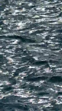 Dalgalar öğleden sonra güneşli bir su yüzeyinde yavaşça hareket eder. Su, güneş ışığını yansıtır ve insanların ve teknelerin olmadığı bir dalga deseni yaratır..