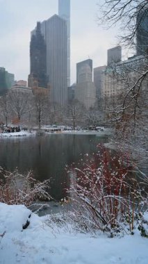 New York, ABD, 24 Aralık 2025 'te donmuş göletin yüzeyine kar yağdı. Rıhtım kardan bembeyaz. New York, ABD 'deki Central Park' ta kış günü. Dikey video.