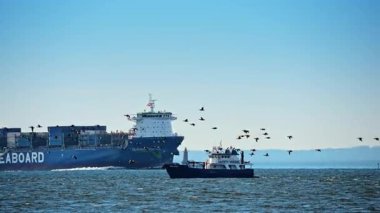 New York, ABD, 24 Aralık 2025: Büyük kargo gemisi küçük güvenlik gemisine yaklaşıyor. Bir kuş sürüsü su üzerinde uçuyor..