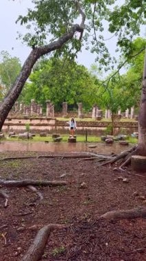 Ağaçların arasında, görünen kökleri ile ıslak zeminde yürüyorum. Yağmurun altında kayanın üzerinde duran beyaz yağmurluklu kadına yaklaşıyoruz. Dikey video.