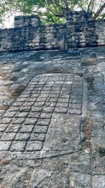 Meksika 'daki antik taş duvar kalıntıları. Etrafı yeşilliklerle çevrili tarihi taş duvar kalıntılarının yakın görüntüsü.