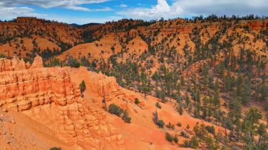 Kuru kayalık manzaranın seyrek ağaçlarla manzarası. Bulutlu bir günde ABD 'nin Utah Red Canyon üzerinde İHA görüntüleri.