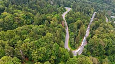Gündüz vakti yeşil orman manzarası boyunca giden araçlarla dolambaçlı bir yol. Ağaçlarla dolu sık bir ormanda yol kıvrılır..