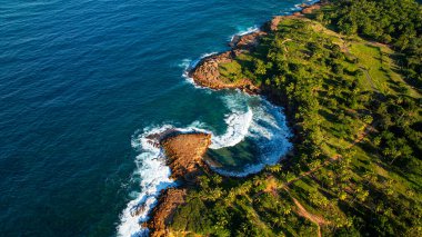 Palmiye kaplı Porto Riko kıyısı. Porto Riko 'nun kayalık kıyıları ve okyanuslarıyla kaplı tropikal kıyı şeridinin insansız hava aracı görüntüleri..