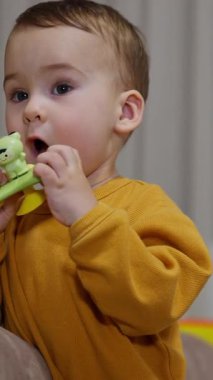 Bir yaşında tatlı bir çocuk oyuncağı ağzına çekiyor. Çocuk içeride oyuncaklarla oynuyor. Kapatın. Arkaplan bulanık. Dikey video