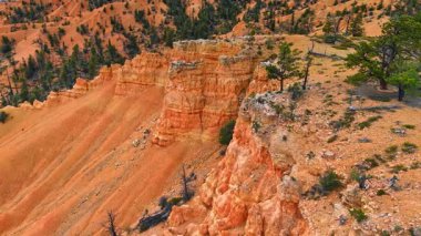 Utah, ABD 'deki Red Canyon' un tepesindeki sütun kaya oluşumları. Manzarada bazı fakir çam ağaçları yetişiyor. Hava görünümü.