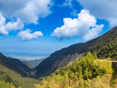 Ormanlı dağ vadisi manzarası. Ormanlı Karpat dağ vadisi uzak ovalara doğru açılıyor.
