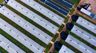 Güneş panelleri olan kümes hayvanları çiftliğinin yüksek açılı görüntüsü. Yeşil çimen ve yollarla çevrili çatılarda güneş paneli dizili uzun endüstriyel tarım binaları.