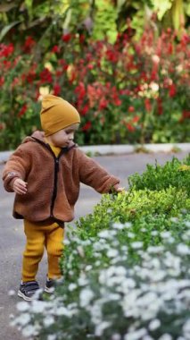 Kalın elbiseli sevimli erkek bebek güzel parkta yürüyüş yapıyor. Bebek yeşil çalılara dokunuyor. Dikey video