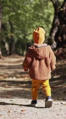 Kalın ceket ve şapka giyen küçük bir çocuğun arka görüntüsü. Çocuk sonbaharda parkta pohpohlamanın yanından geçer. Dikey video
