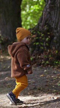 Yaşlı ağaçların arasında yürüyen sevimli çocuk. Sonbaharda parkta vakit geçirmek. Dikey video