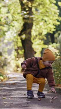 Gülen çocuk yerden kestane topluyor. Mutlu çocuk kameraya koşup kestane fırlatıyor. Dikey video