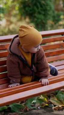 Beyaz çocuk ahşap bankın yanında emekliyor ve rahatça oturuyor. Bebek sonbaharda parkta dinleniyor. Dikey video