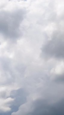 Gökyüzünde biriken yağmur bulutları. Dramatik bulut düzeni. Düşük açı. Zaman ayarlı. Dikey video
