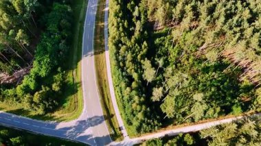 Çam ormanından geçen yolun yukarıdan aşağıya bakan görüntüsü. Çift şeritli asfalt bir yol ve sık yeşil ormanı kesen bir bisiklet yolu dikey hava perspektifi.